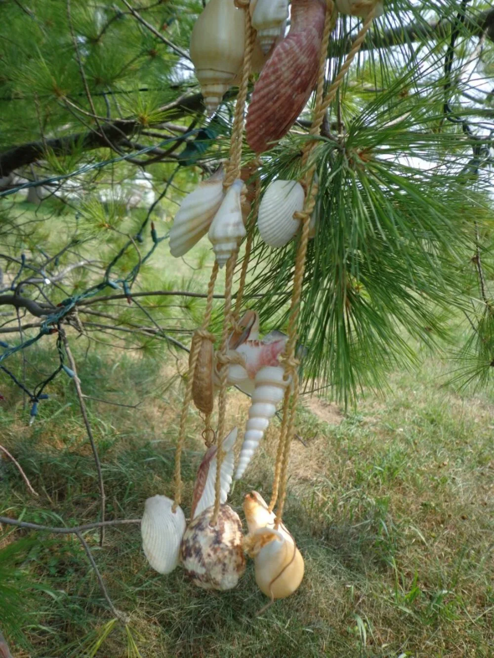 Sea Shells/Rope Wind Chime Nautical Coastal Authentic Various Shells 32